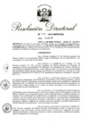 Vista preliminar de documento RD 038-2019.pdf