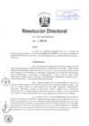 Vista preliminar de documento RD-118-2019-MIMP/OGA