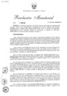 Vista preliminar de documento RM N° 189-2022-MINEM-DM.pdf