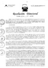 Vista preliminar de documento RD-N°110-2022.pdf