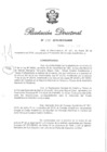 Vista preliminar de documento RD N° 358-2010.pdf