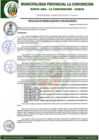 Vista preliminar de documento RGM-386-2022-GM-MPLC