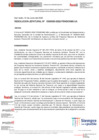 Vista preliminar de documento Resolución Jefatural