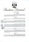 Vista preliminar de documento RD 029-2019.pdf