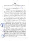 Vista preliminar de documento RES N°143-2022-GRDS