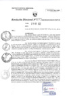 Vista preliminar de documento RD0195-MIDAGRI-DVDIAR-PEBPT.pdf