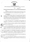 Vista preliminar de documento Resolución Directoral N° 00010-2011