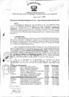 Vista preliminar de documento Resolución Directoral N° 00047-2010