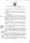 Vista preliminar de documento Resolución Directoral N° 00031-2011
