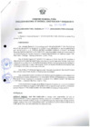 Vista preliminar de documento Resolución Directoral N° 00010-2019