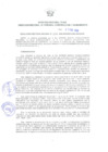 Vista preliminar de documento Resolución Directoral N° 00005-2020