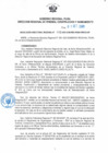 Vista preliminar de documento Resolución Directoral N° 00019-2021