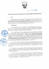 Vista preliminar de documento Resolución Directoral N° 00029-2021