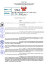 Vista preliminar de documento Resolución Directoral N° 01560-2021