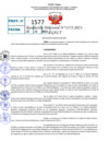 Vista preliminar de documento Resolución Directoral N° 01572-2021