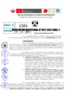 Vista preliminar de documento Resolución Directoral N° 01577-2021