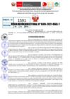 Vista preliminar de documento Resolución Directoral N° 01585-2021
