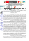 Vista preliminar de documento Resolución Directoral N° 01592-2021