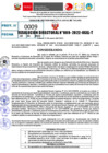Vista preliminar de documento R.D  009-2022