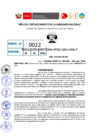Vista preliminar de documento R.D  022-2022