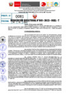Vista preliminar de documento R.D 081-2022