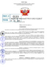 Vista preliminar de documento R.D 0133-2022