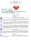 Vista preliminar de documento R.D 0213-2022