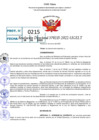 Vista preliminar de documento R.D 0215-2022