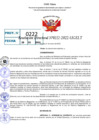 Vista preliminar de documento R.D 0222-2022