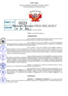 Vista preliminar de documento R.D 0223-2022