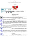 Vista preliminar de documento R.D 0228-2022
