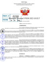 Vista preliminar de documento R.D 0230-2022