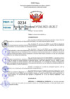 Vista preliminar de documento R.D 0234-2022