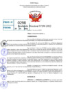 Vista preliminar de documento R.D 0298-2022