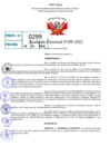 Vista preliminar de documento R.D 0299-2022