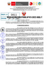 Vista preliminar de documento R.D 0411-2022