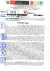 Vista preliminar de documento R.D 0425-2022