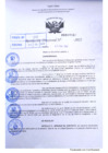 Vista preliminar de documento R.D 0464-2022