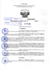 Vista preliminar de documento Resolución Directoral N° 00696-2022