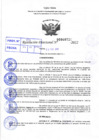 Vista preliminar de documento Resolución Directoral N° 00730-2022