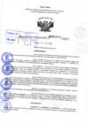 Vista preliminar de documento Resolución Directoral N° 00742-2022