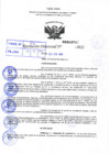 Vista preliminar de documento Resolución Directoral N° 00743-2022