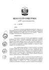 Vista preliminar de documento RD 063-2019