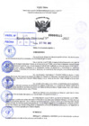 Vista preliminar de documento R.D 0515-2022