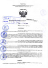 Vista preliminar de documento R.D 0516-2022