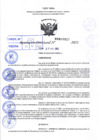 Vista preliminar de documento R.D 0520-2022