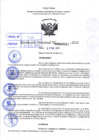 Vista preliminar de documento R.D 0521-2022