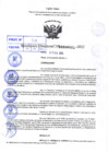 Vista preliminar de documento R.D 0522-2022