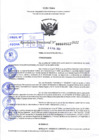 Vista preliminar de documento R.D 0523-2022