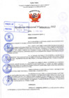 Vista preliminar de documento R.D 0530-2022